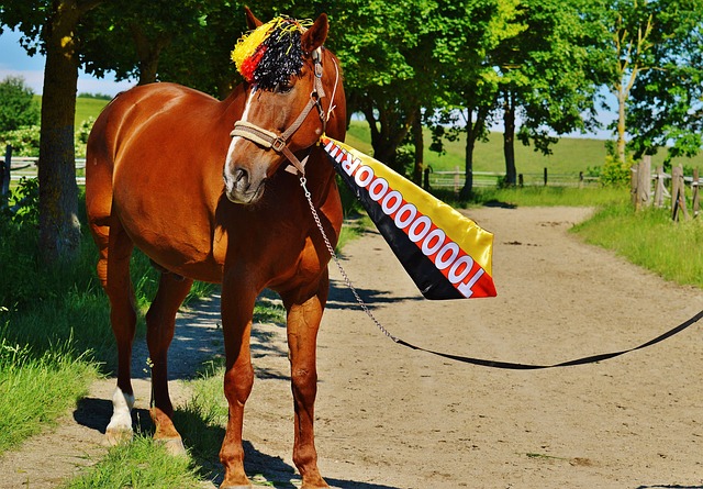 不少球迷的 不少球迷的