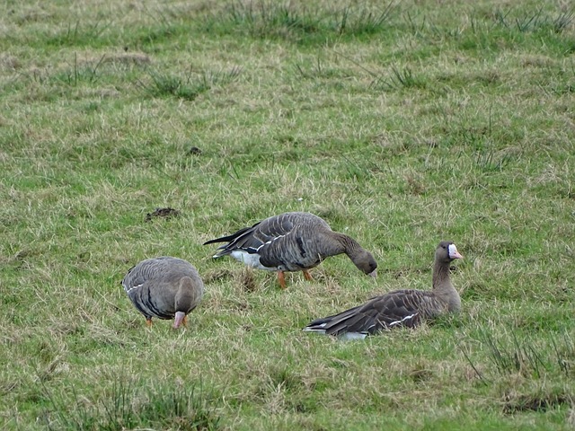 是通过深度 是通过深度