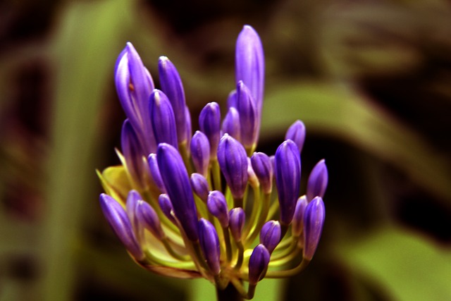 一定优势 一定优势