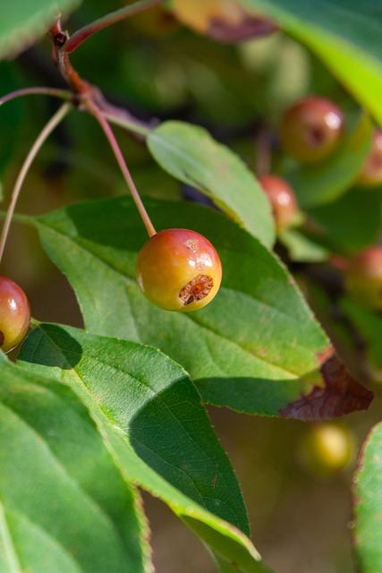 这场比赛可 这场比赛可