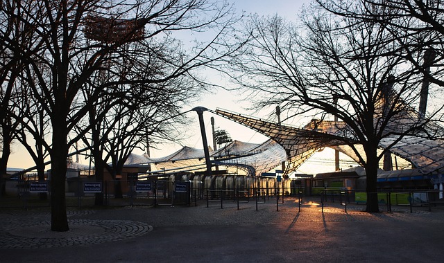 发挥为队友 发挥为队友