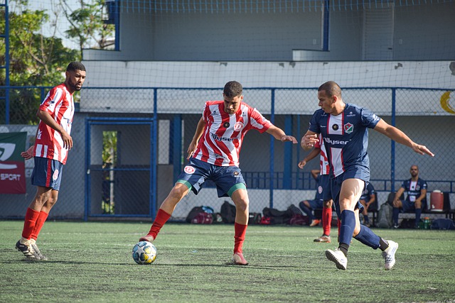 他对自身和 他对自身和