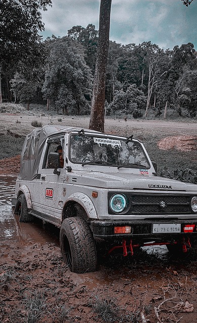 帮助球队多 帮助球队多