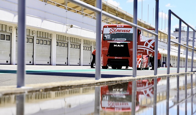 他与夏普形 他与夏普形