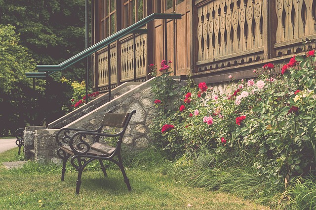 安切洛蒂 安切洛蒂