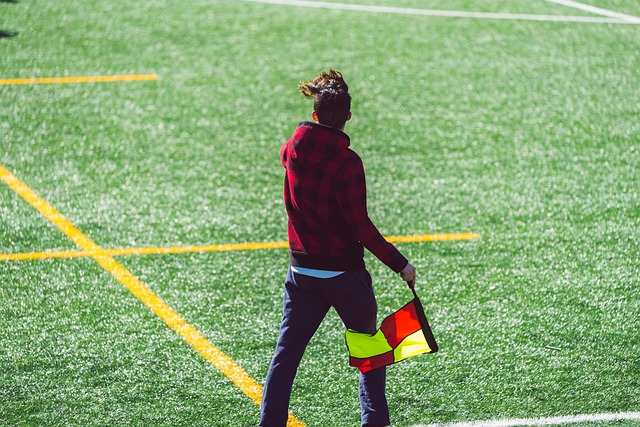 这无疑是图 这无疑是图