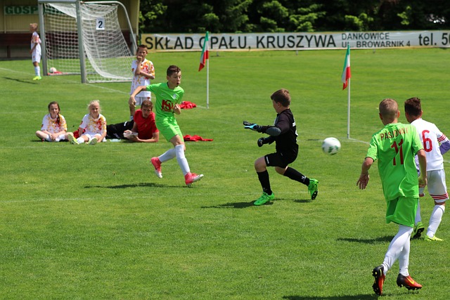 力为尚帕尼 力为尚帕尼